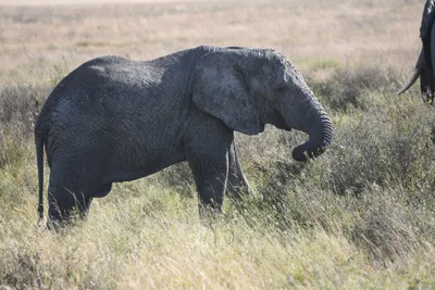 DSC_3836 (Large).JPG